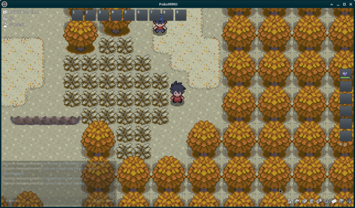 How to Change Regions in PokeMMO (Unova, Kanto, Sinnoh, Hoenn